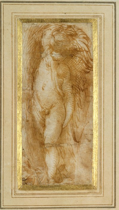 Un putto girato a sinistra da Parmigianino