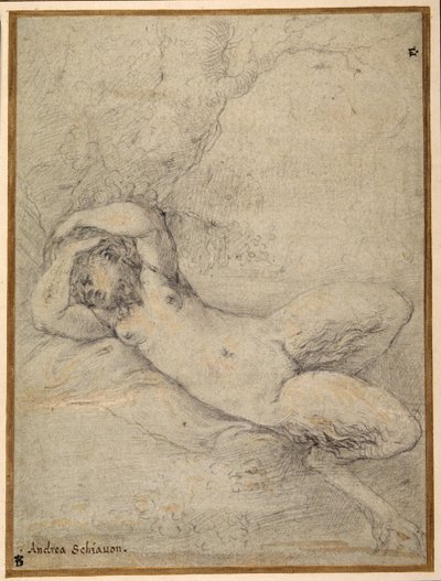 Una satiressa addormentata sotto un albero da Parmigianino