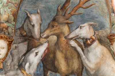Atteone, trasformato in cervo, è mangiato dai suoi stessi cani, dalla Stanza di Diana e Atteone, il Muro Settentrionale (dettaglio) da Parmigianino