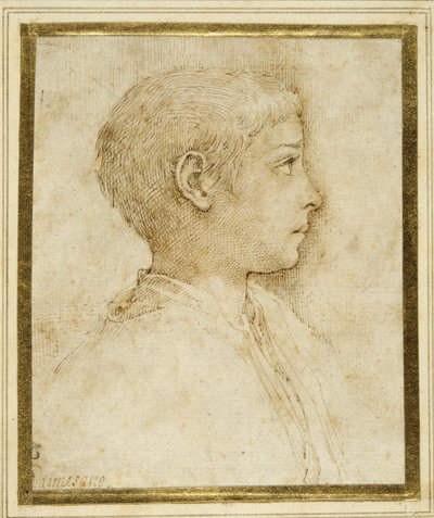 Busto di un ragazzo di profilo a destra da Parmigianino