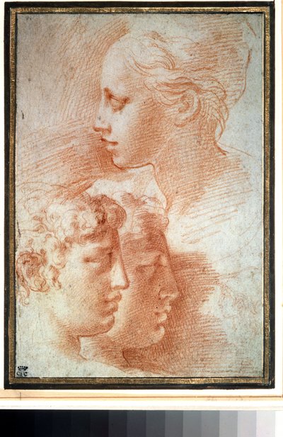 Studio di teste da Parmigianino