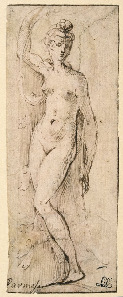 Figura femminile - studio per Santa Maria della Steccata, Parma (recto) da Parmigianino