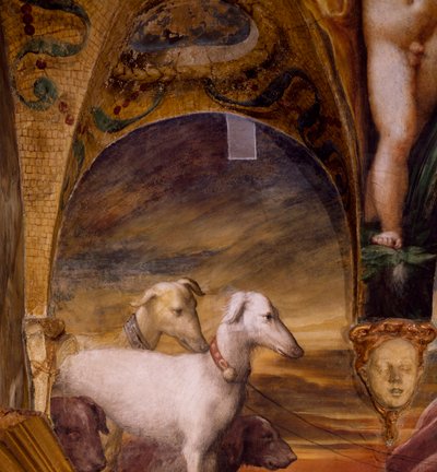 Gruppo di cani, dal Mito di Diana e Atteone da Parmigianino
