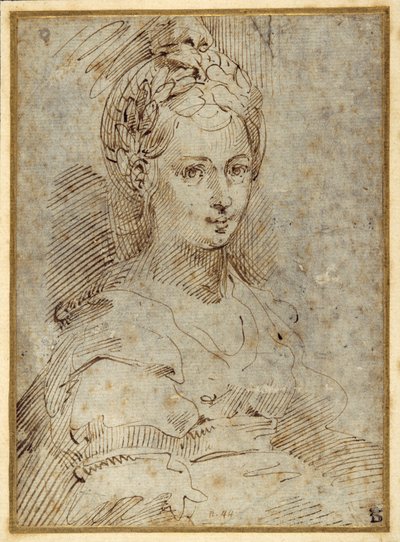 Mezza lunghezza di una donna seduta da Parmigianino