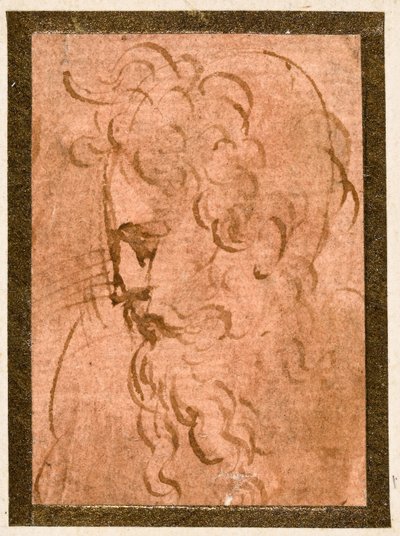 Testa maschile da Parmigianino