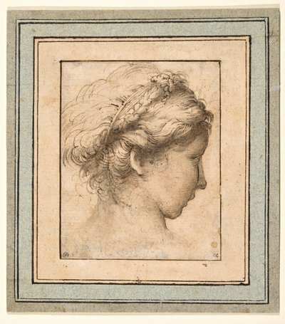 Profilo di una ragazza che guarda a destra da Parmigianino