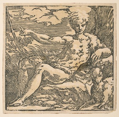 San Giovanni Battista nel deserto da Parmigianino