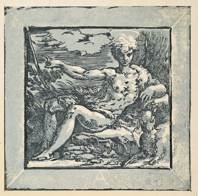 San Giovanni Battista nel deserto da Parmigianino
