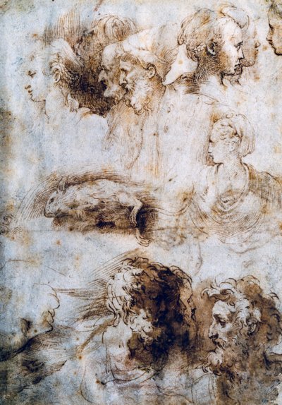Studio per un topo morto, profili maschili e femminili da Parmigianino