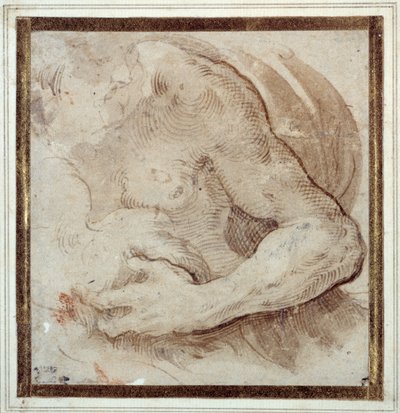 Studio del braccio sinistro, petto e testa di un uomo barbuto da Parmigianino