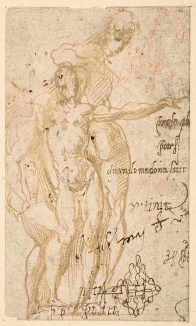 Studio di tre figure nude da Parmigianino