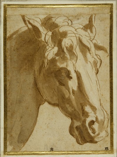 La testa e il collo di un cavallo da Parmigianino