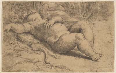 Cupido dormiente, XVI secolo da Parmigianino