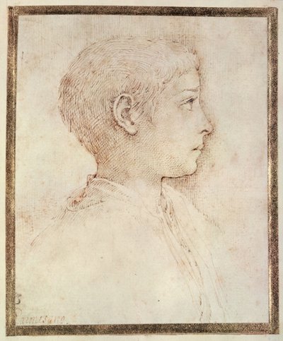 Testa di un ragazzo da Parmigianino
