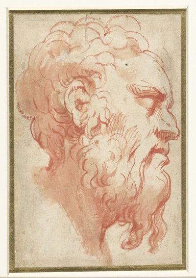 Testa di un vecchio, di profilo a destra da Parmigianino