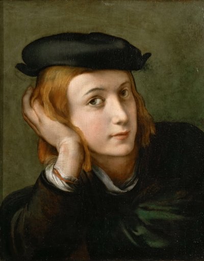 Ritratto di un ragazzo, ca 1524 da Parmigianino