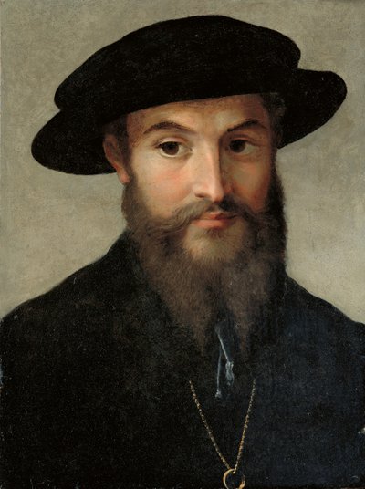 Ritratto di un uomo con la barba da Parmigianino