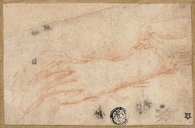 Schizzo della mano e del polso sinistro da Parmigianino