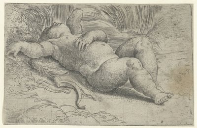 Cupido dormiente da Parmigianino