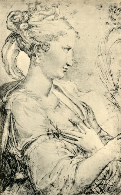 Studio di Santa Caterina, c1530-1540, 1943 da Parmigianino