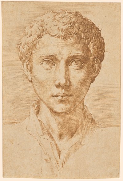 La testa di un giovane da Parmigianino
