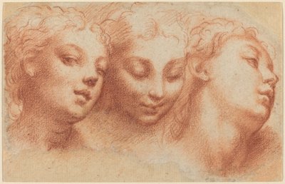 Tre teste femminili da Parmigianino