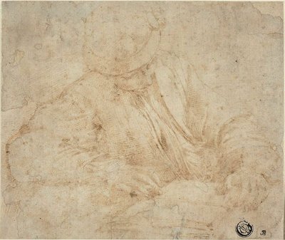 Giovane uomo che legge da Parmigianino