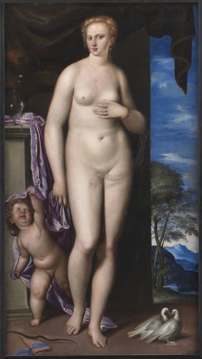Venere e Cupido da Parrasio Micheli