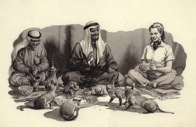 Un uomo arabo nutre i suoi gatti (gouache su carta) da Pat (1907-95) Nicolle