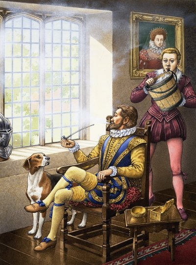 Chi ha gettato acqua su Sir Walter Raleigh da Pat (1907-95) Nicolle