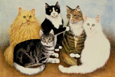La culla del gatto da Pat Scott