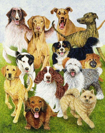Dog Days (olio su tela) da Pat Scott