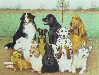 Guardia del cane da Pat Scott