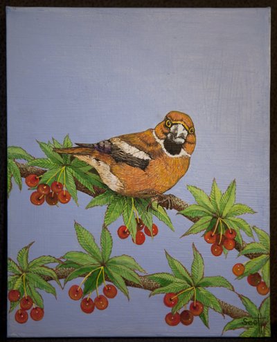 Frosone, 2016 da Pat Scott