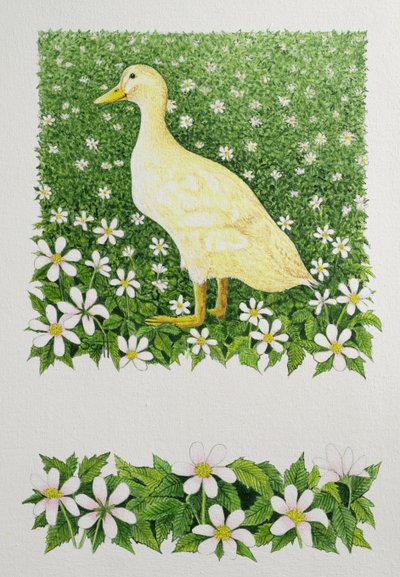 Just Looking (olio su tela) da Pat Scott