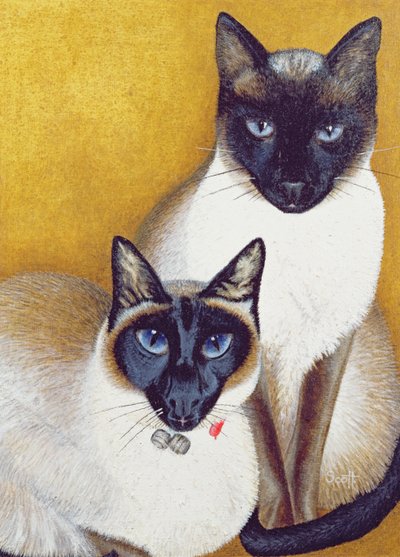 Mavis e Barnaby da Pat Scott