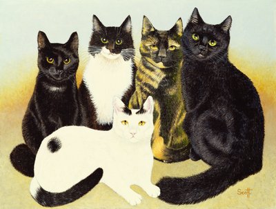 I gatti di Miss Cox da Pat Scott