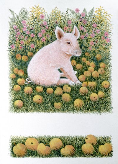 Una mela in più (olio su tela) da Pat Scott