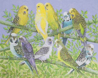 Sweet Talking (acrilico su tela) da Pat Scott