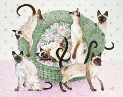 Siamo siamesi, se non vi dispiace (acrilico su calico) da Pat Scott
