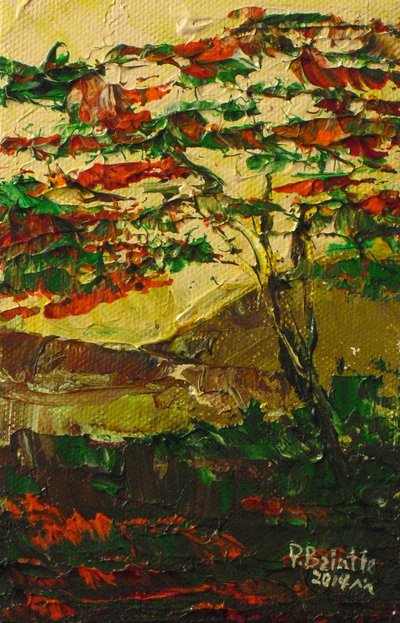 Flamboyant in fiore, 2014 da Patricia Brintle