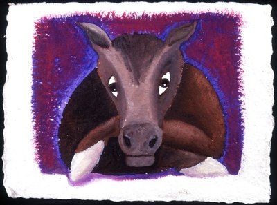 Oroscopo cinese: il segno del cavallo da Patrizia La Porta