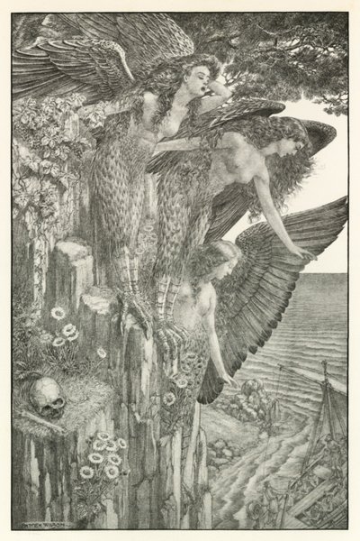 Illustrazione per l