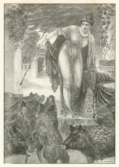 Illustrazione per l