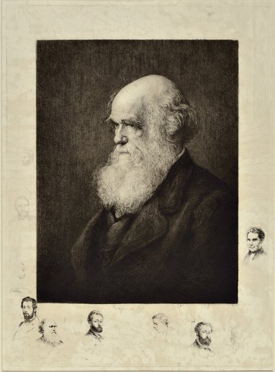 Charles Robert Darwin da Paul Adolphe Rajon