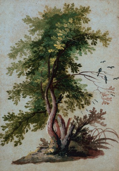 Un Albero con Due Uccelli Posati su un Ramo da Paul Brill or Bril