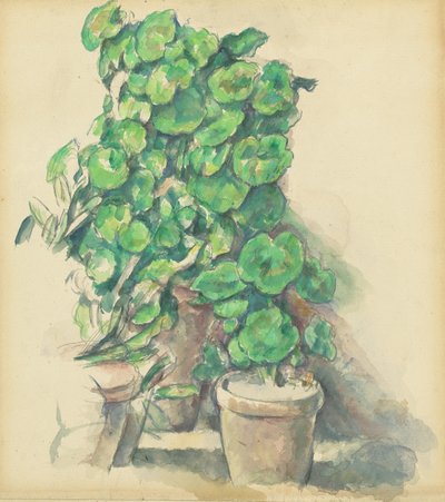 Gerani da Paul Cézanne