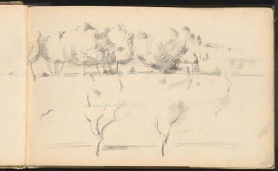 Paesaggio con Alberi da Paul Cézanne