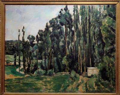 I pioppi da Paul Cézanne