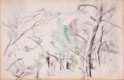 Alberi [recto]; Encagnane e il Pilon du Roi [verso] da Paul Cézanne